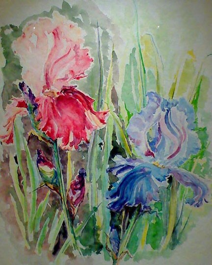 Fleurs Iris